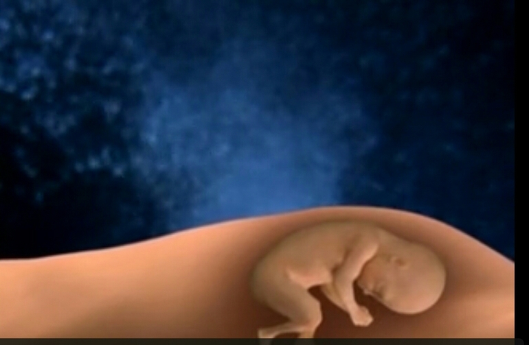 Внутриутробное развитие ребенка по месяцам фильм thumbnail