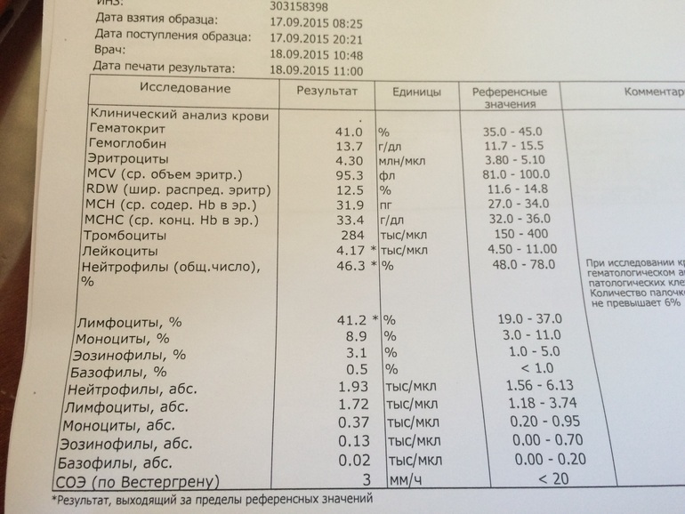 Что значат повышенные моноциты. Повышены лимфоциты в крови у взрослого. Лимфоциты при беременности 3 триместр. Нейтрофилы при беременности норма. Гранулоциты понижены у ребенка.