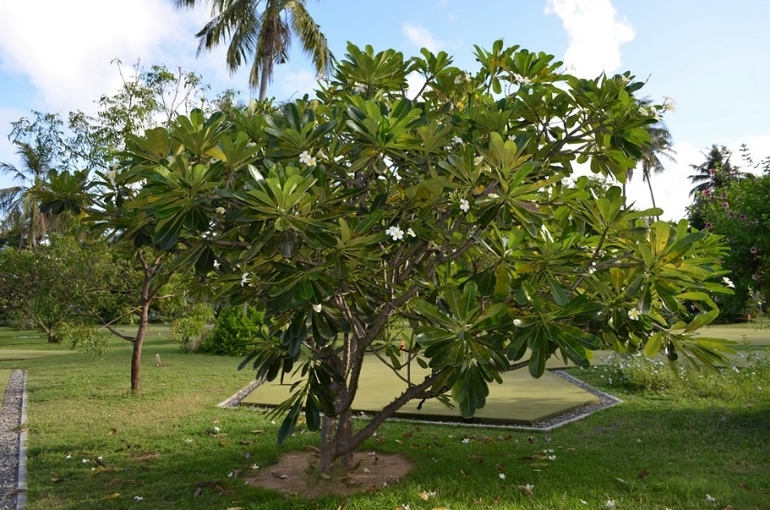 Хороший отель, очаровательное море и скучное питание!