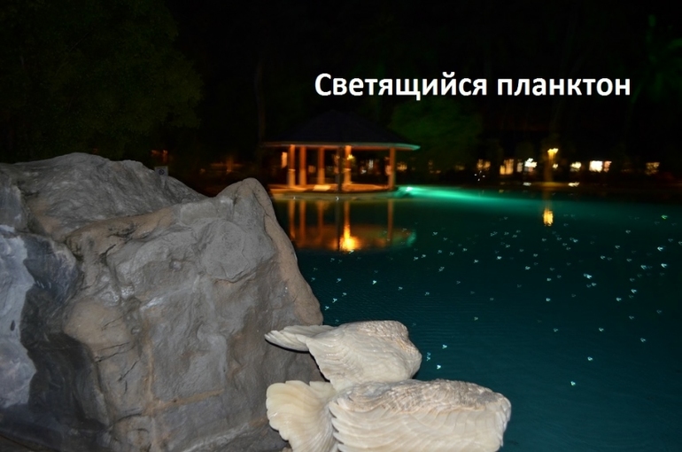 Хороший отель, очаровательное море и скучное питание!