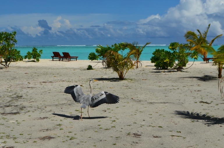 Хороший отель, очаровательное море и скучное питание!