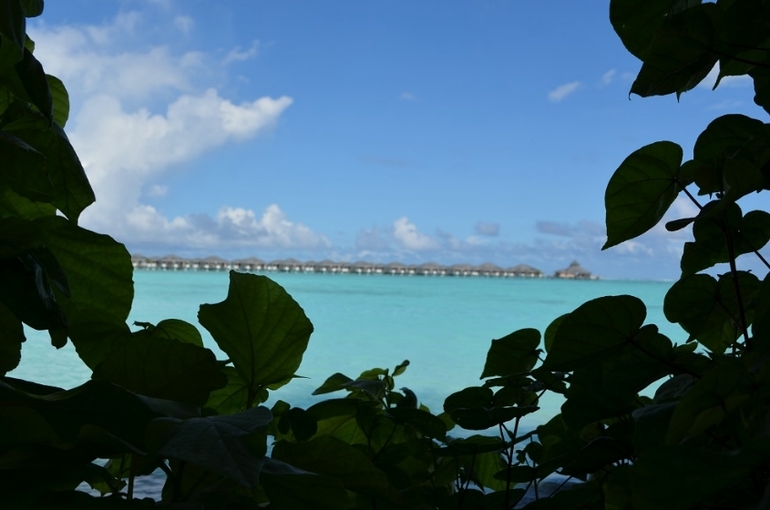 Хороший отель, очаровательное море и скучное питание!