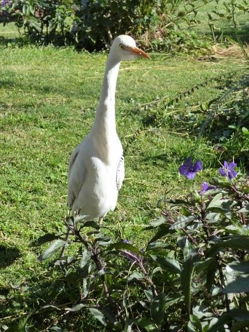 Laguna Vista Beach Resort 5* 16-28 февраля 2014