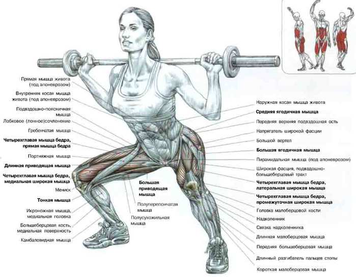 Перехожу на свободные веса:)