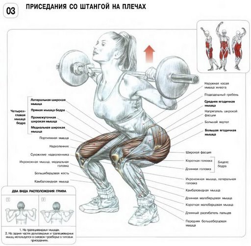 Перехожу на свободные веса:)