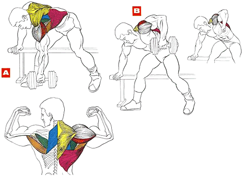 Третий день - день спины:)