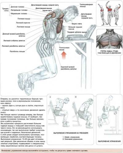 Третий день - день спины:)