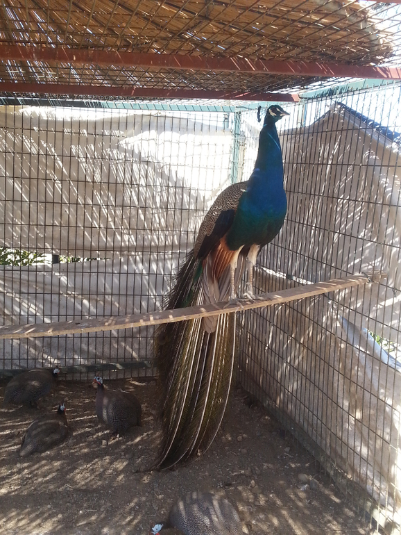 Турляндия 23.05-03.06.2014