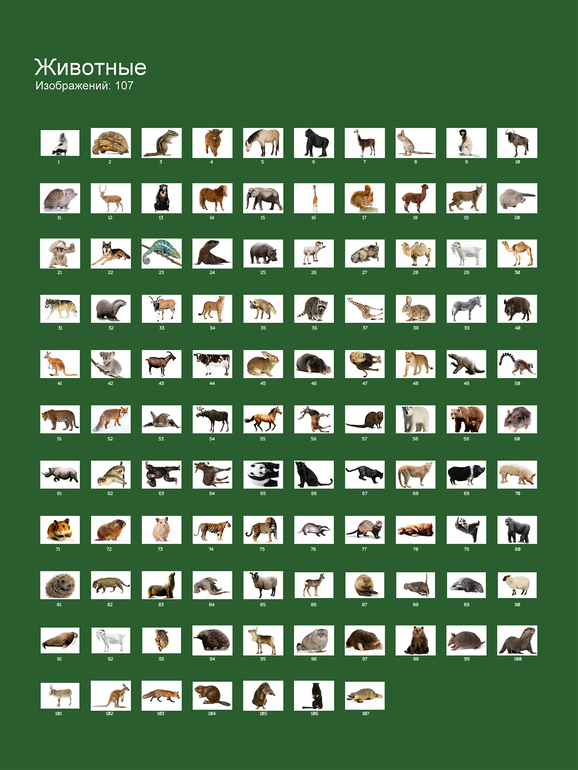 Животные