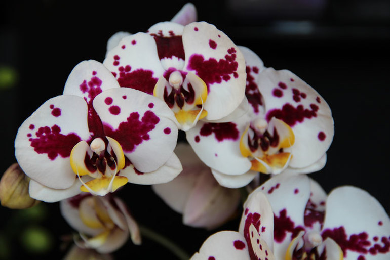 619ea894cb4353f793c1422778af6f15.jpg
