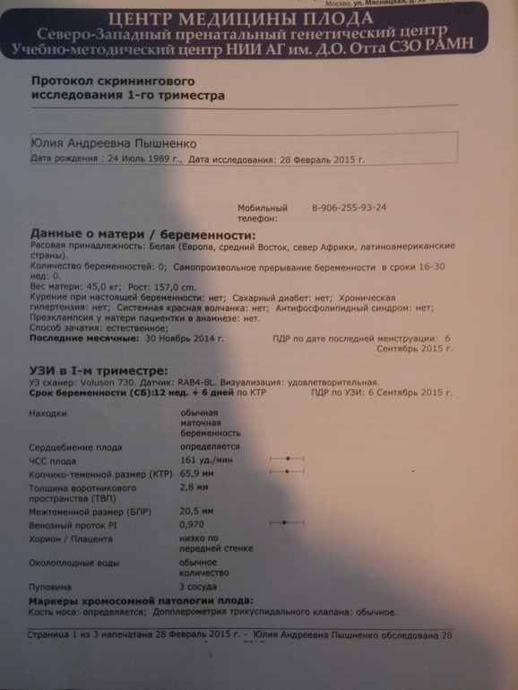 Результаты узи ребенка. Протокол на УЗИ беременности 2 скрининг. УЗИ 2 скрининг заключение. Протокол УЗИ 1 скрининг при беременности. Протокол второго скрининга при беременности.