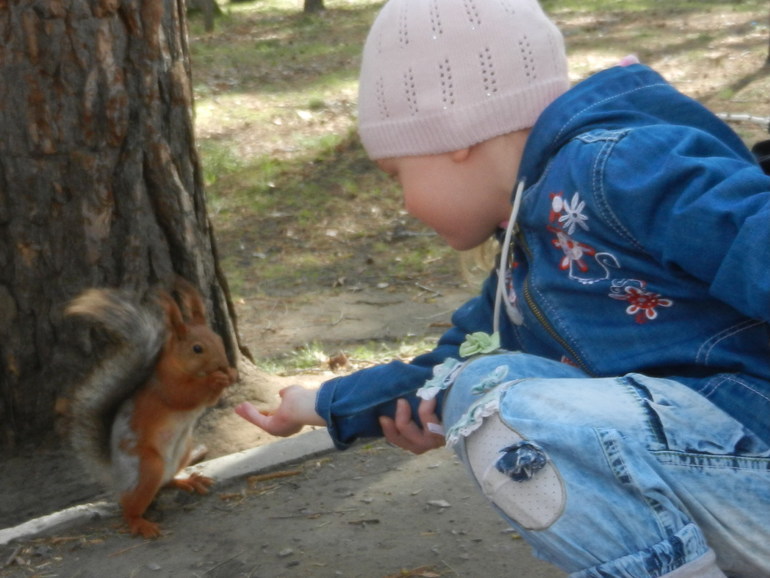 Последние новости ...