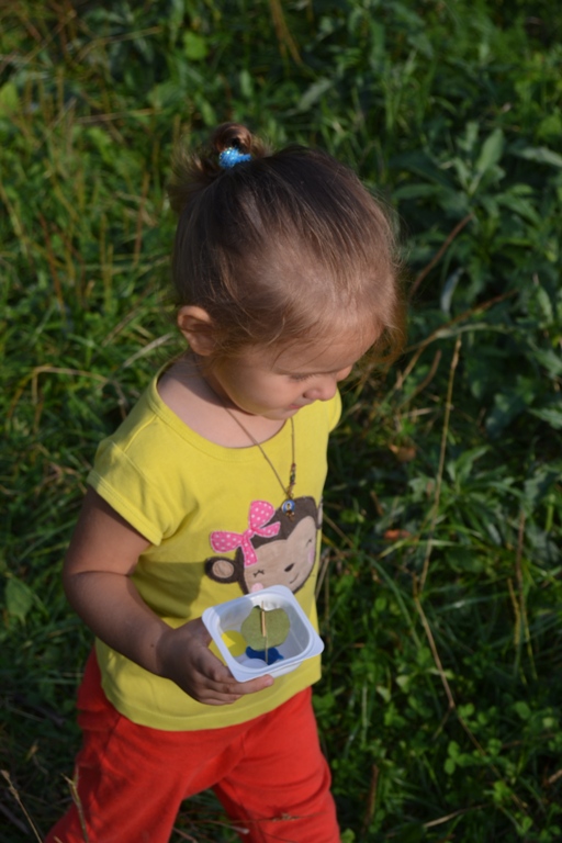 Наглядное моделирование или игры на развитие воображения