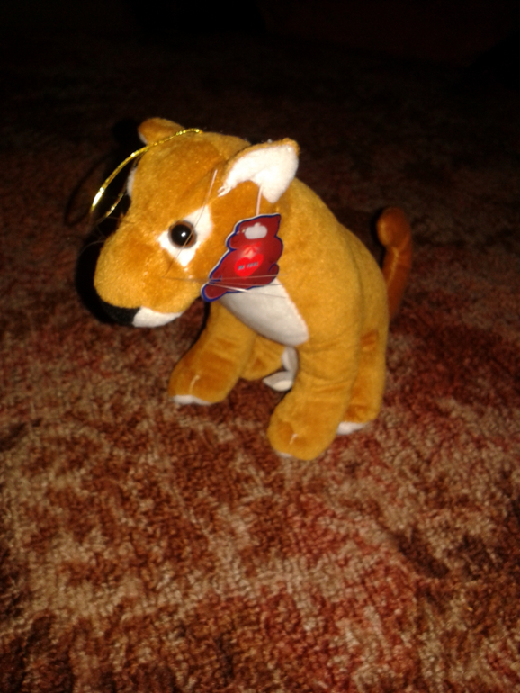 Затерявшийся хвастик