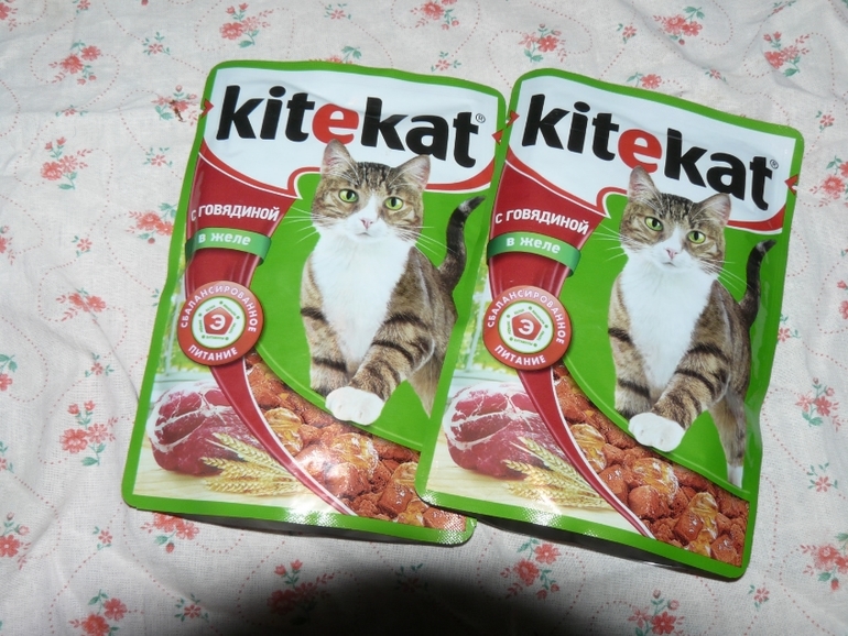 мой фотоотчетчик к ОП 1 июня...)