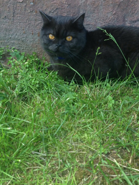 Жизнь удалась))