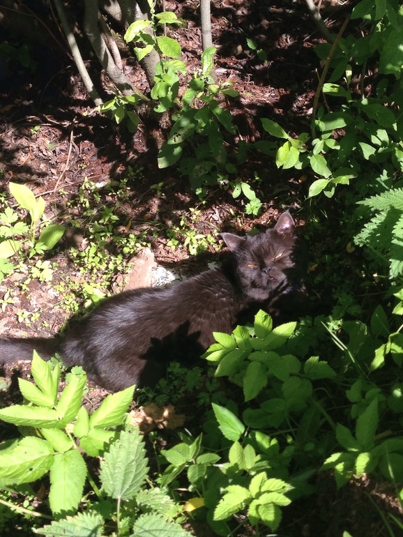 Жизнь удалась))