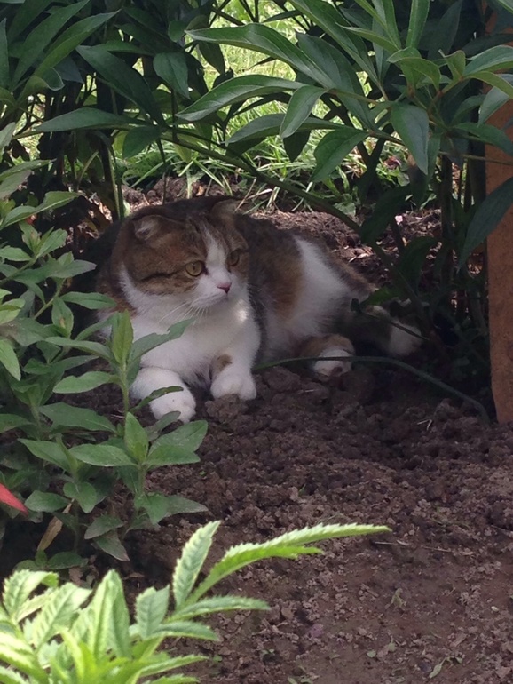 Жизнь удалась))