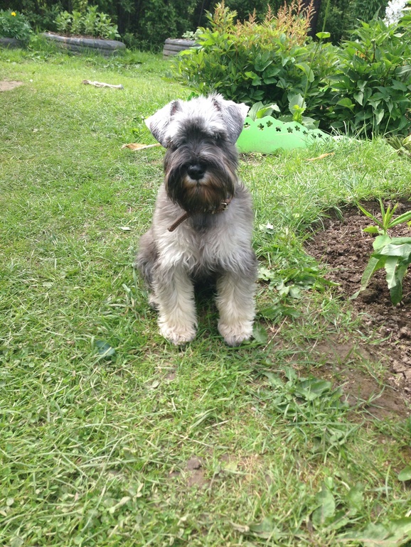 Жизнь удалась))