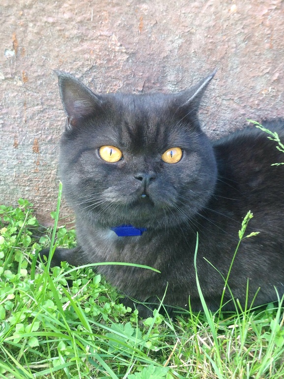 Жизнь удалась))