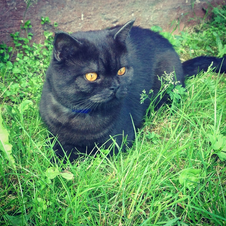 Жизнь удалась))