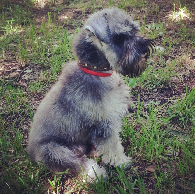 Жизнь удалась))