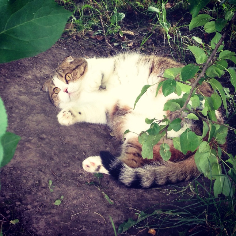 Жизнь удалась))