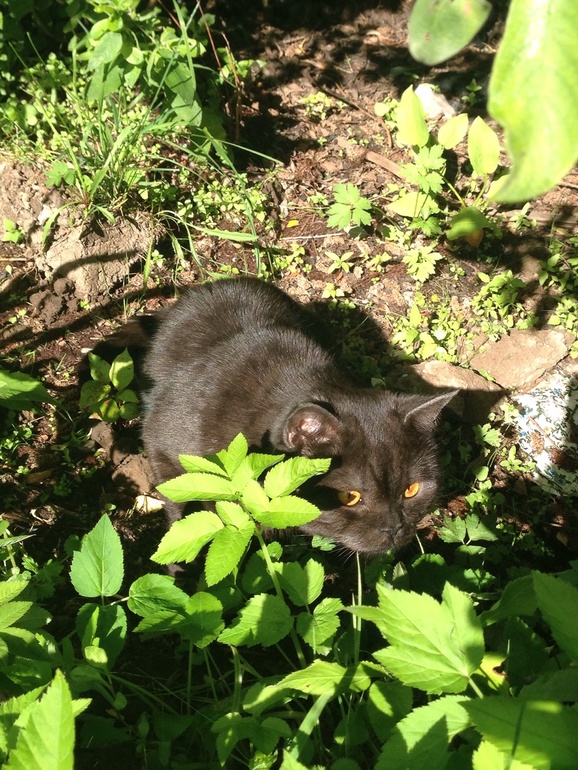 Жизнь удалась))