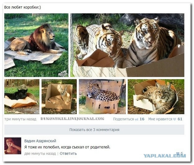 Смешные комментарии (для разгрузки)