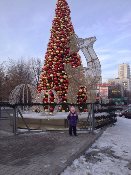 Картинка