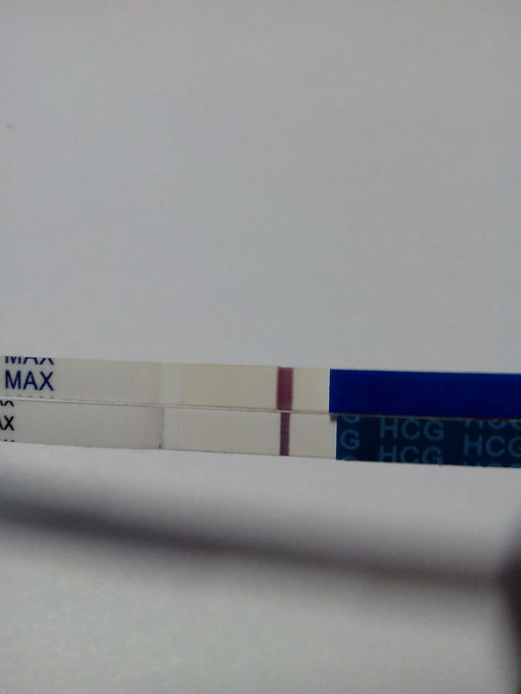 Тест обманщик((((((