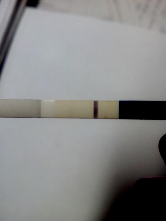 Тест с призраком......