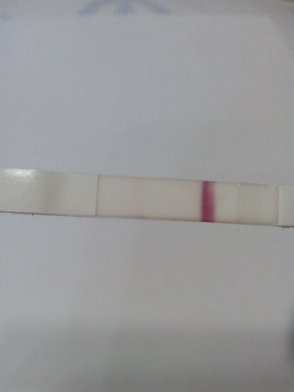 ББ тест..............