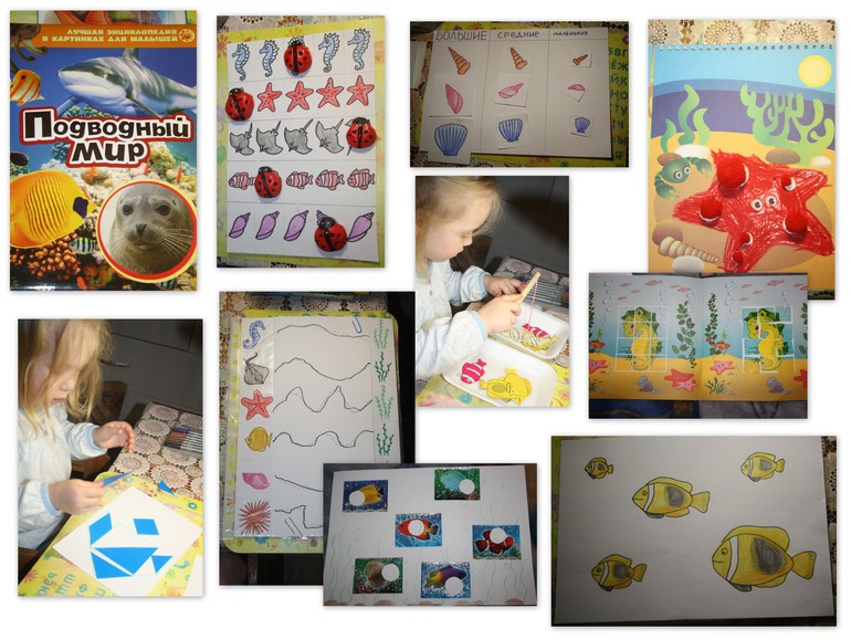 Обитатели морей и океанов.  День 1.