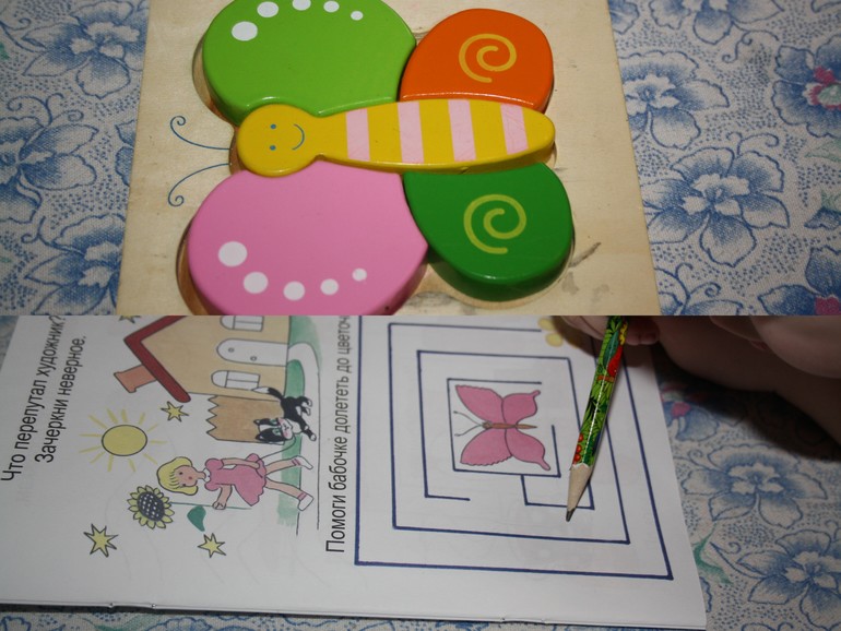 Насекомые. День 1.