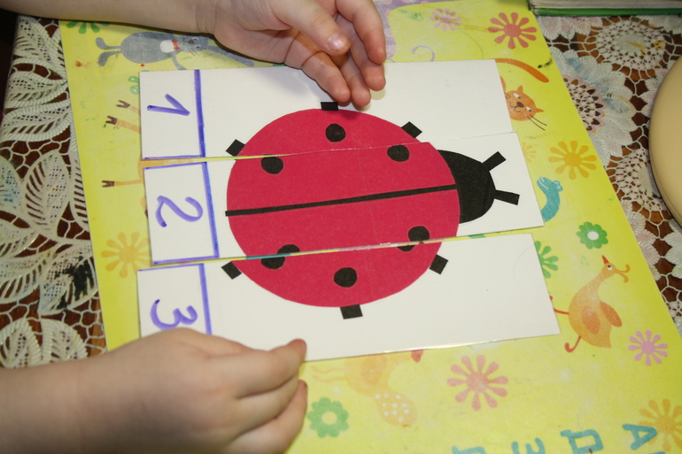 Насекомые. День 1.