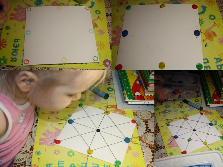 Насекомые. День 2.