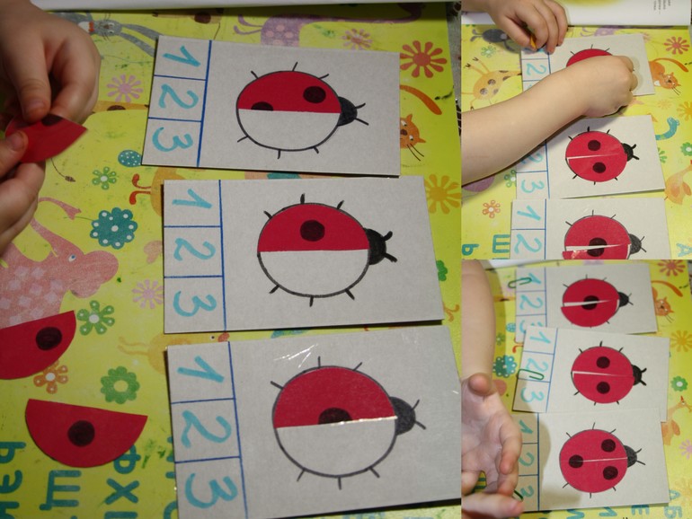 Насекомые. День 1.