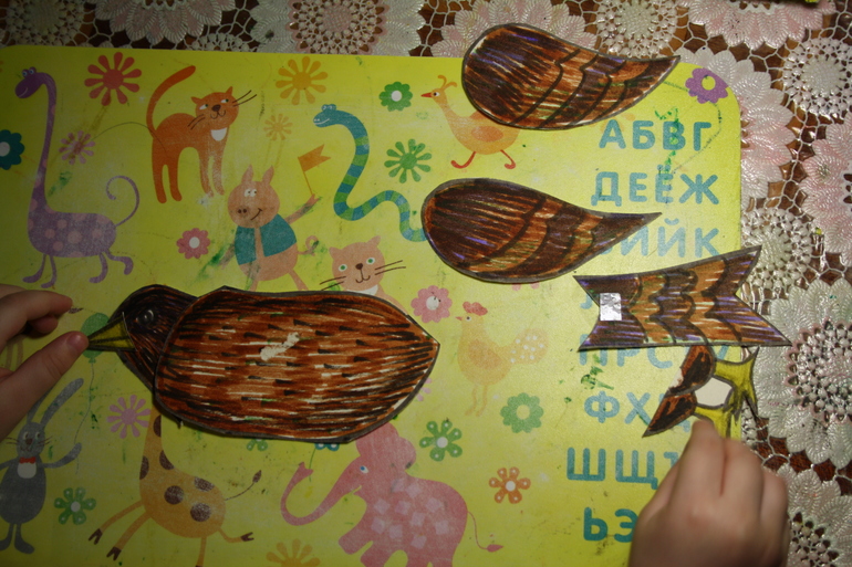 Птицы. 3. Городские.