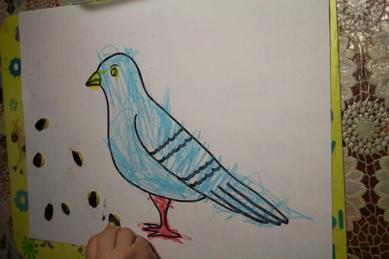 Птицы. 3. Городские.