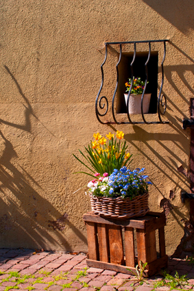 Весна. Эльзас. Пасхально-цветочное.