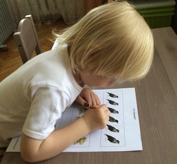 Наш отчет по ТЗ