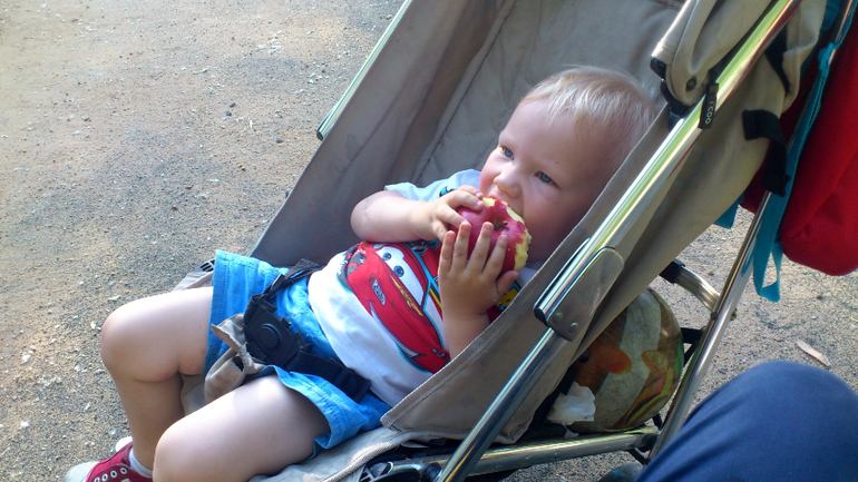 Постригла вчера Мишутку.