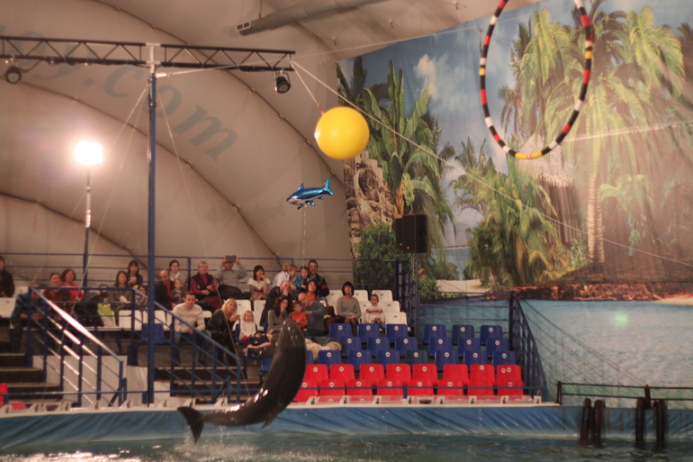 Дельфинарий