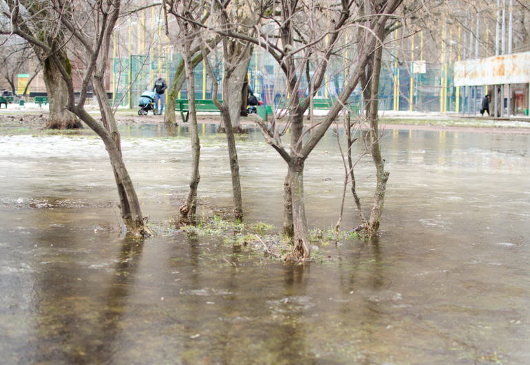 Немножко Сашки