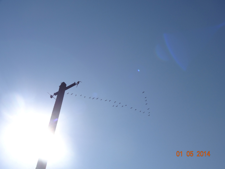 Выходные на даче.