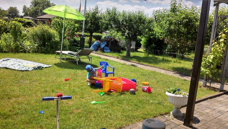 Дачный сезон