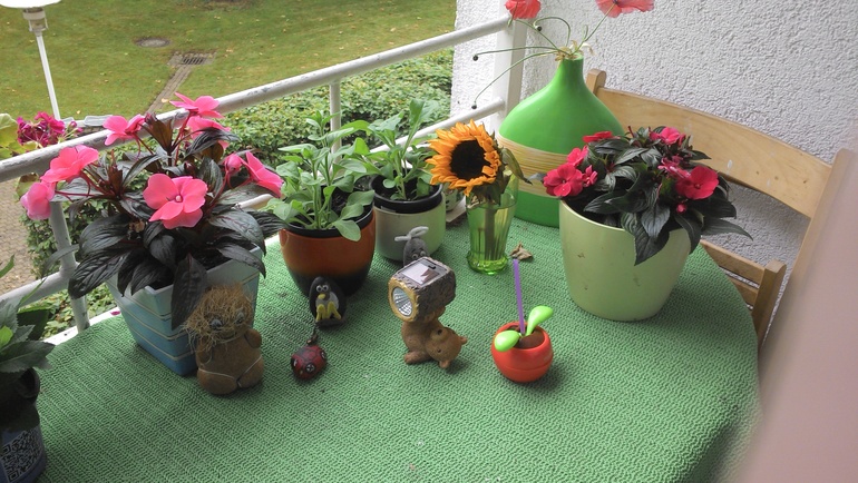 цветы на балконе