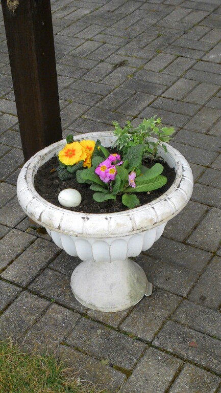 Сегодня работала на даче
