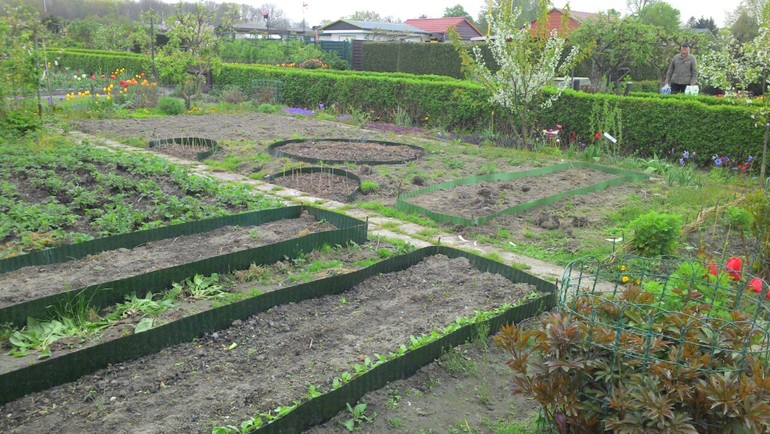 апрельские хлопоты на даче